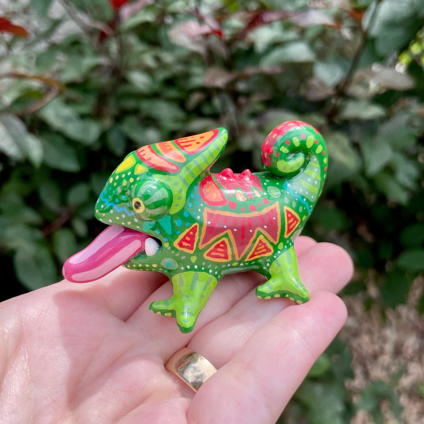 Colorful Chameleon Goobster