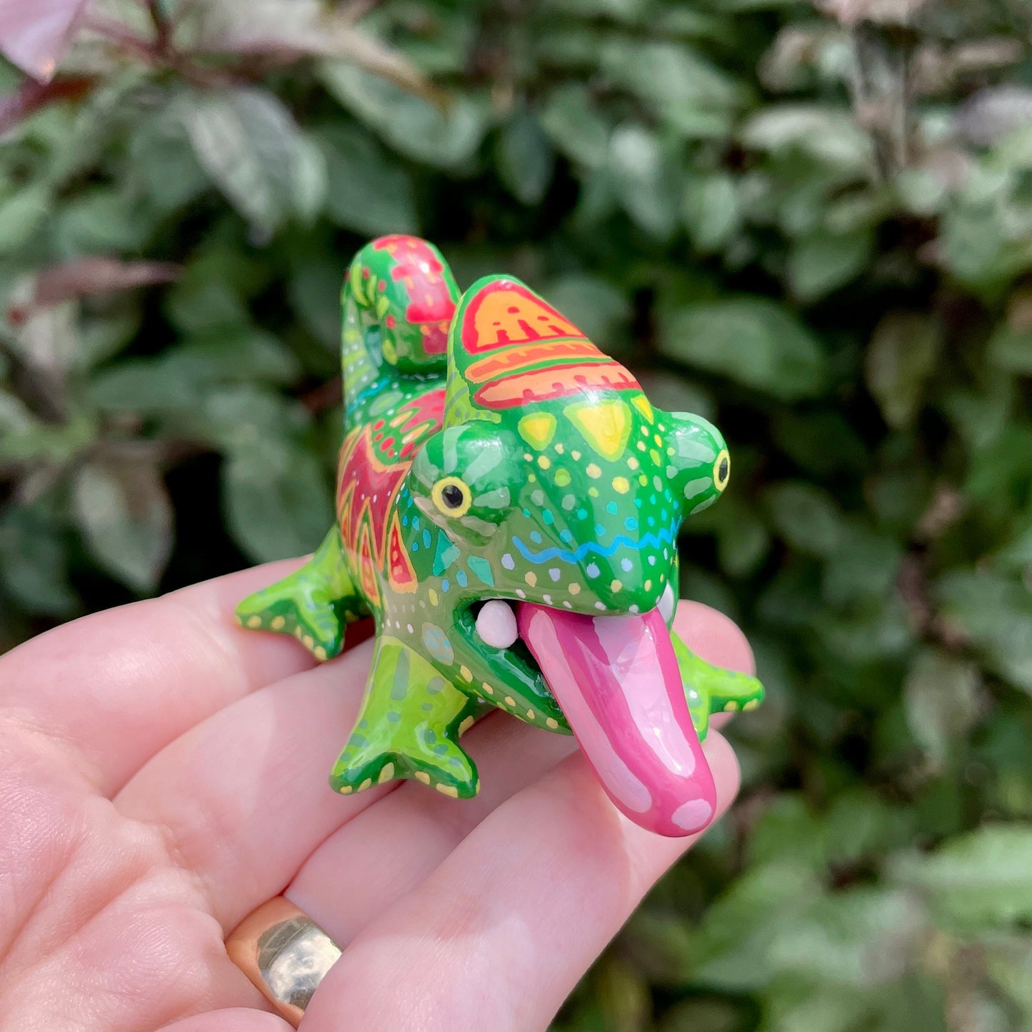 Colorful Chameleon Goobster