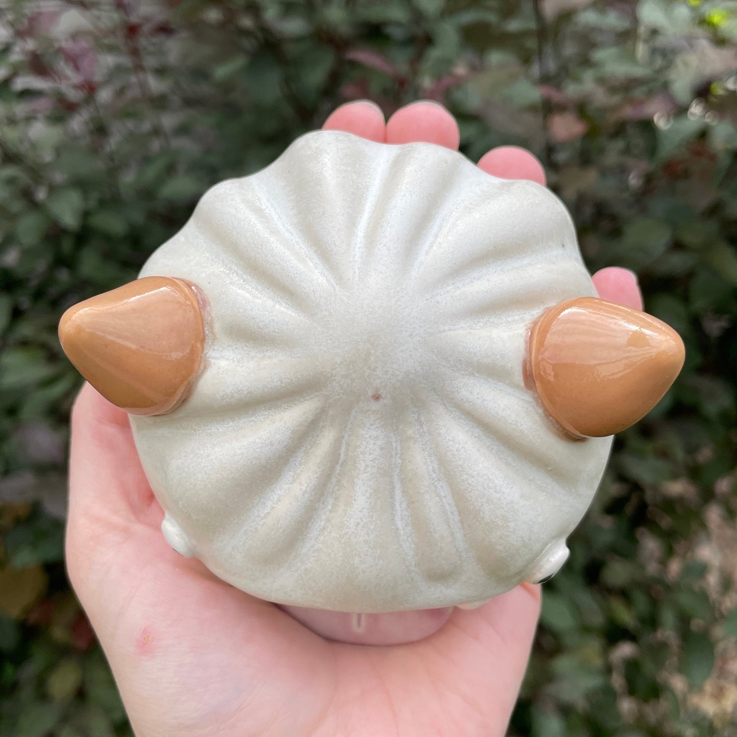 Dumple the Bao Goobster