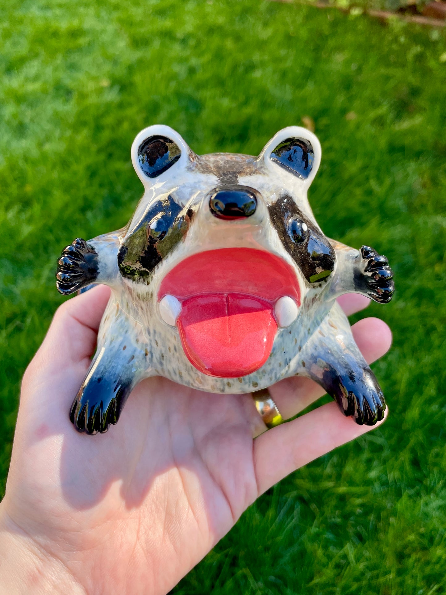 Raccoon Goobster