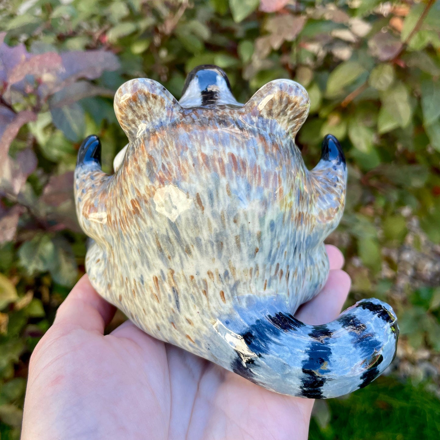 Raccoon Goobster