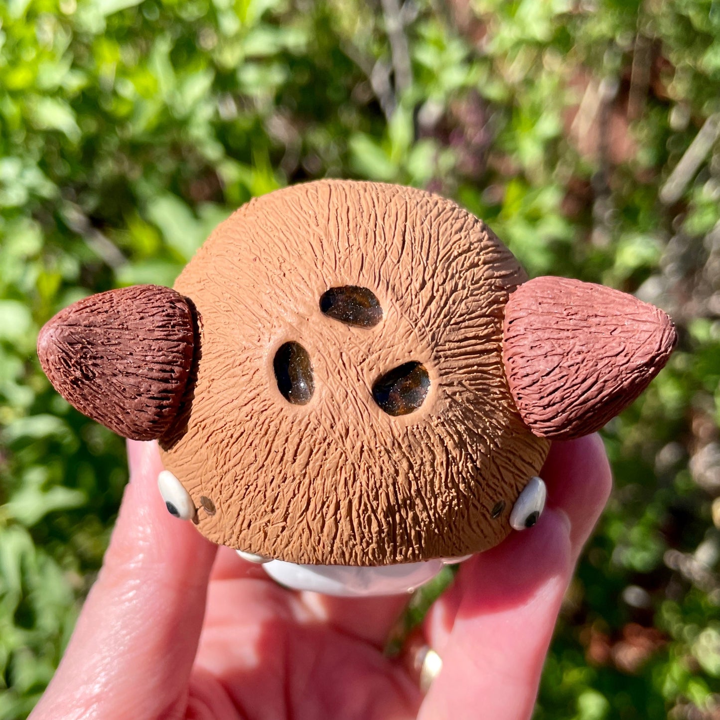 Coco the Coconut Monster