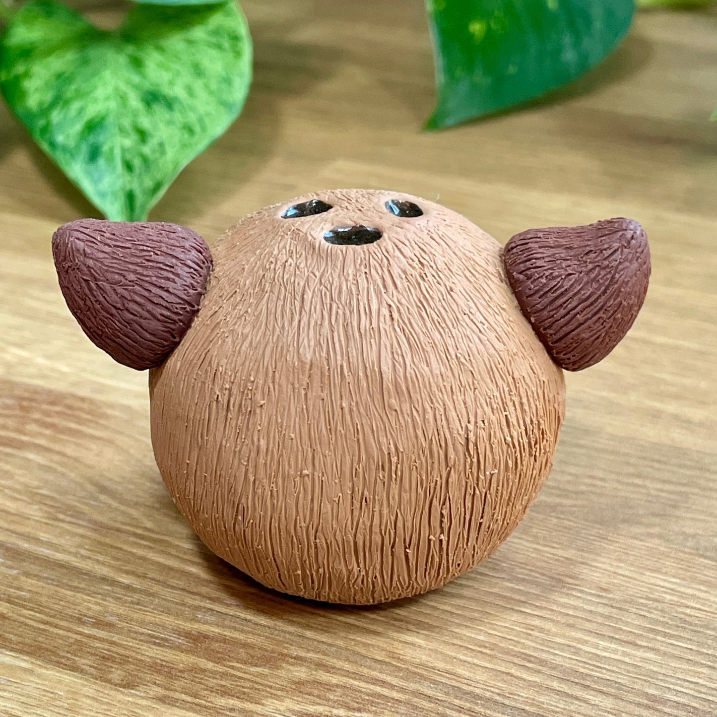 Coco the Coconut Monster