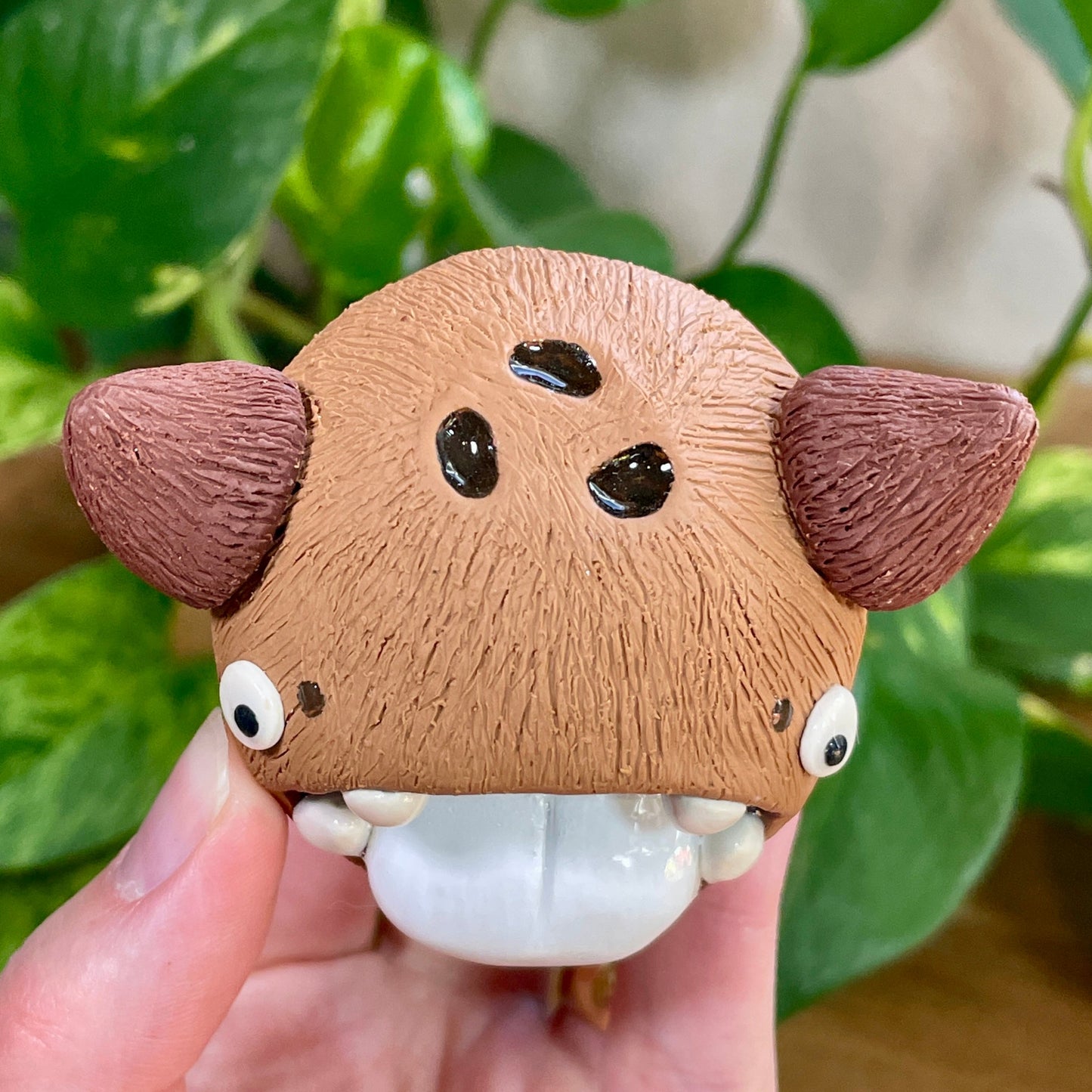Coco the Coconut Monster